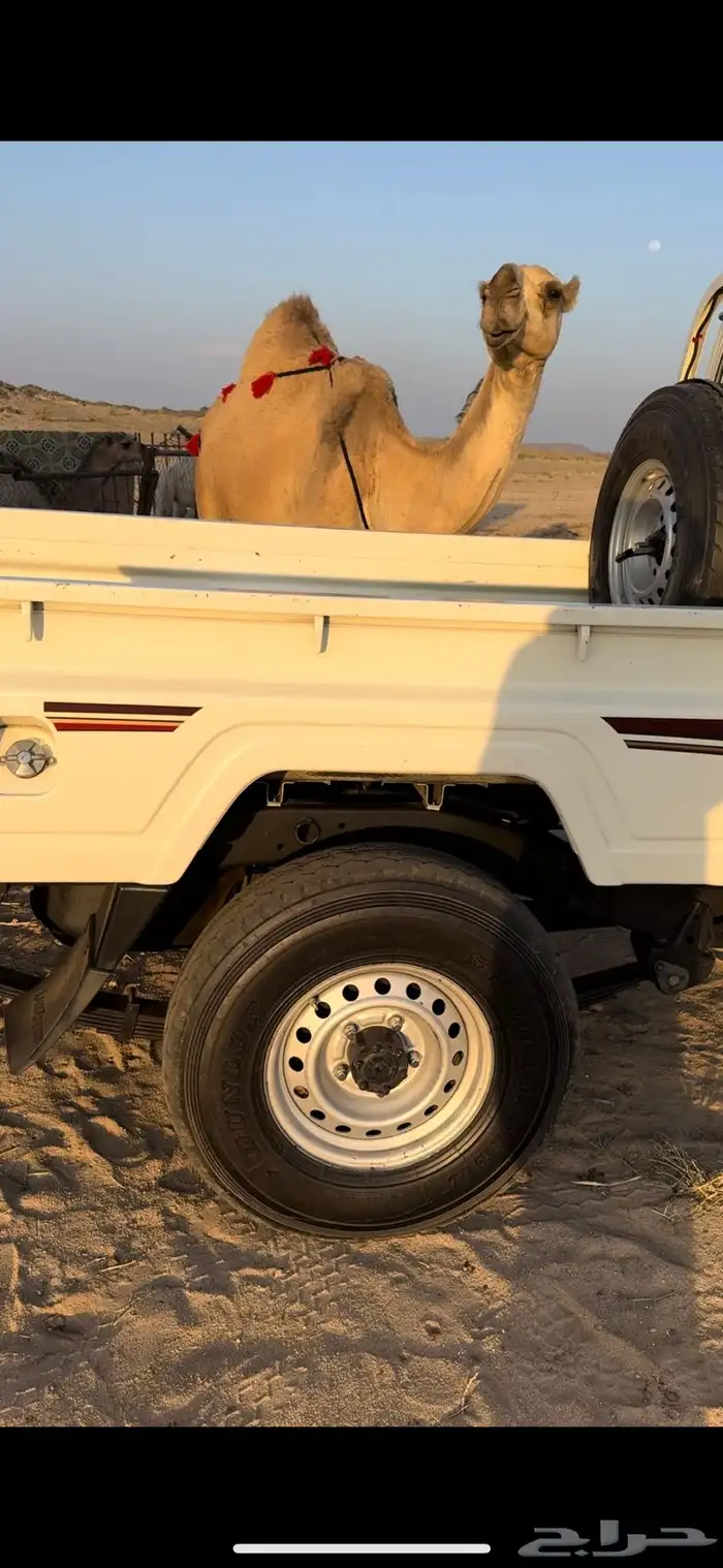 خلفه حمرا طيبه جدا جدا حليب وهداوه وزين ثنو 20