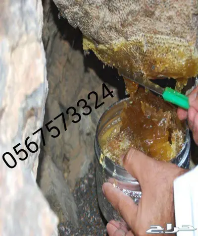 خلطة عسل السدر محفزة للأنجاب بمشيئة الله 1