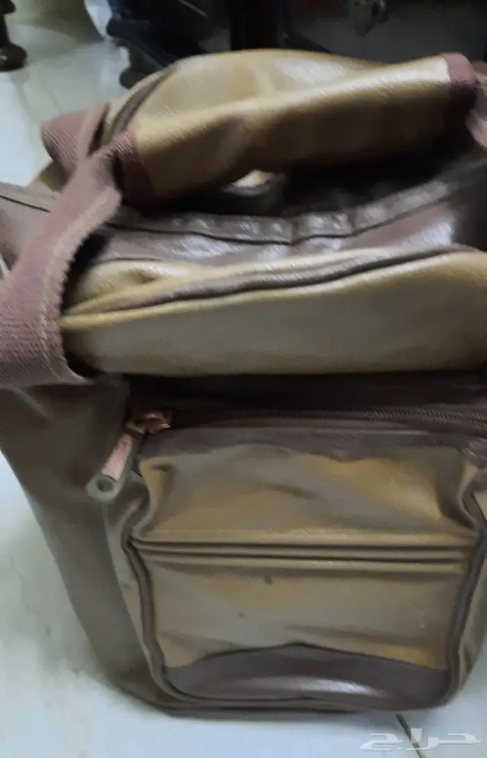 شنه السنيدي 6