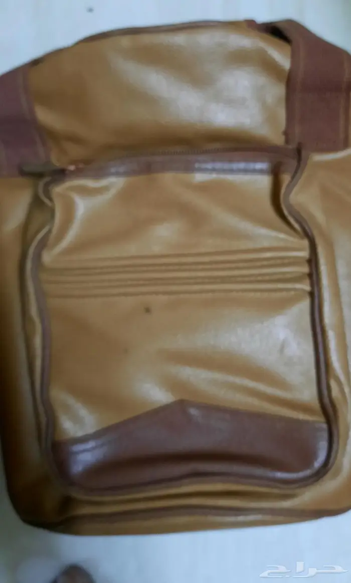 شنه السنيدي 1