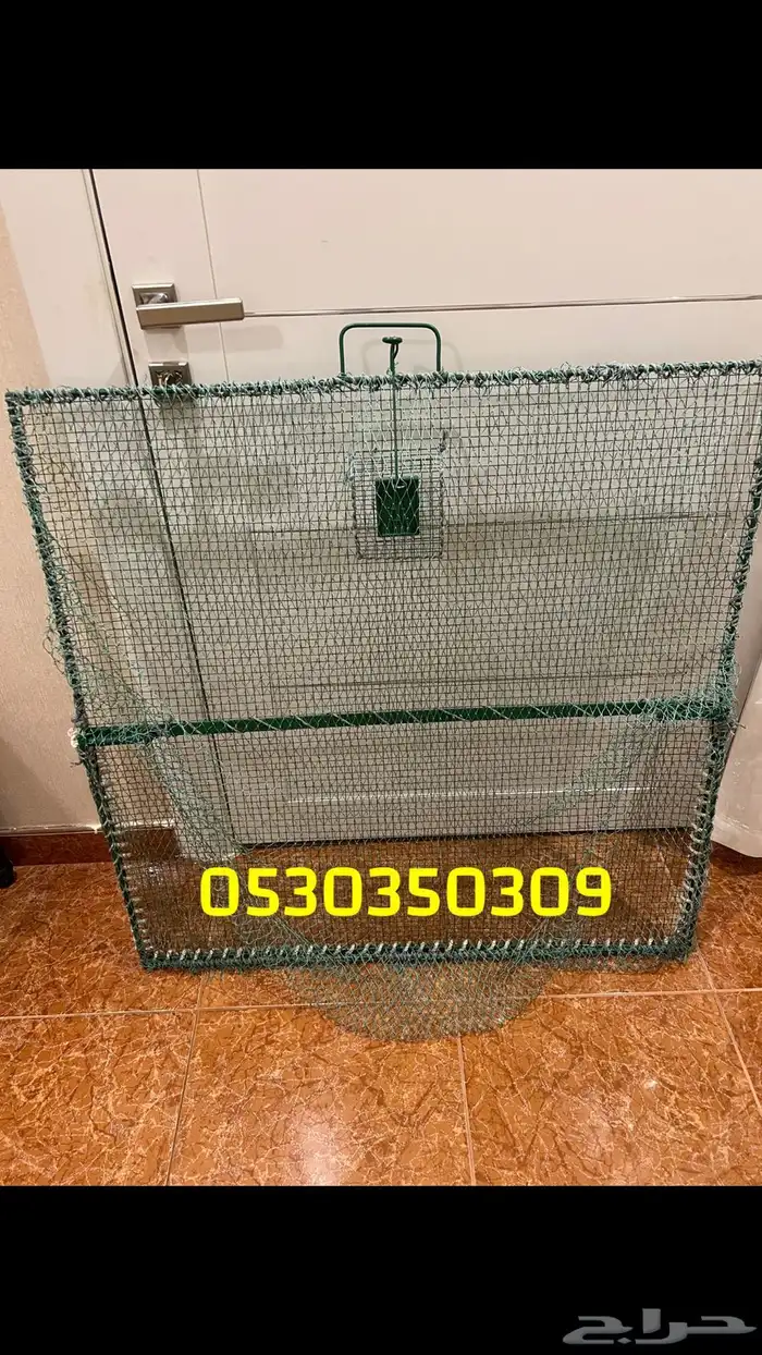 مصيدة طيور 1