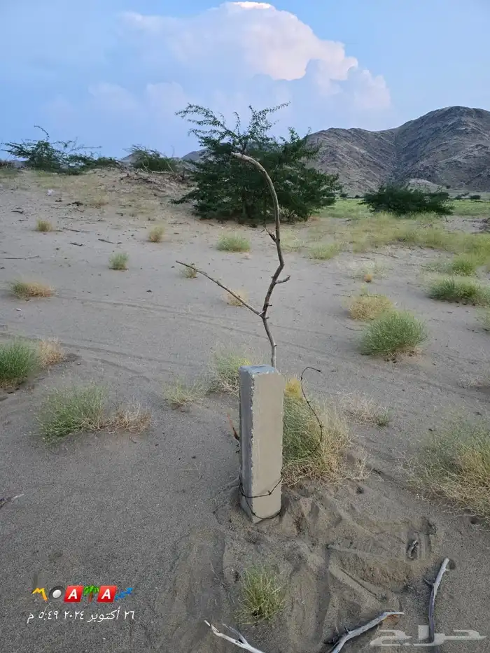 ارض مميزة على شارعين 20x25 ومواقف 3