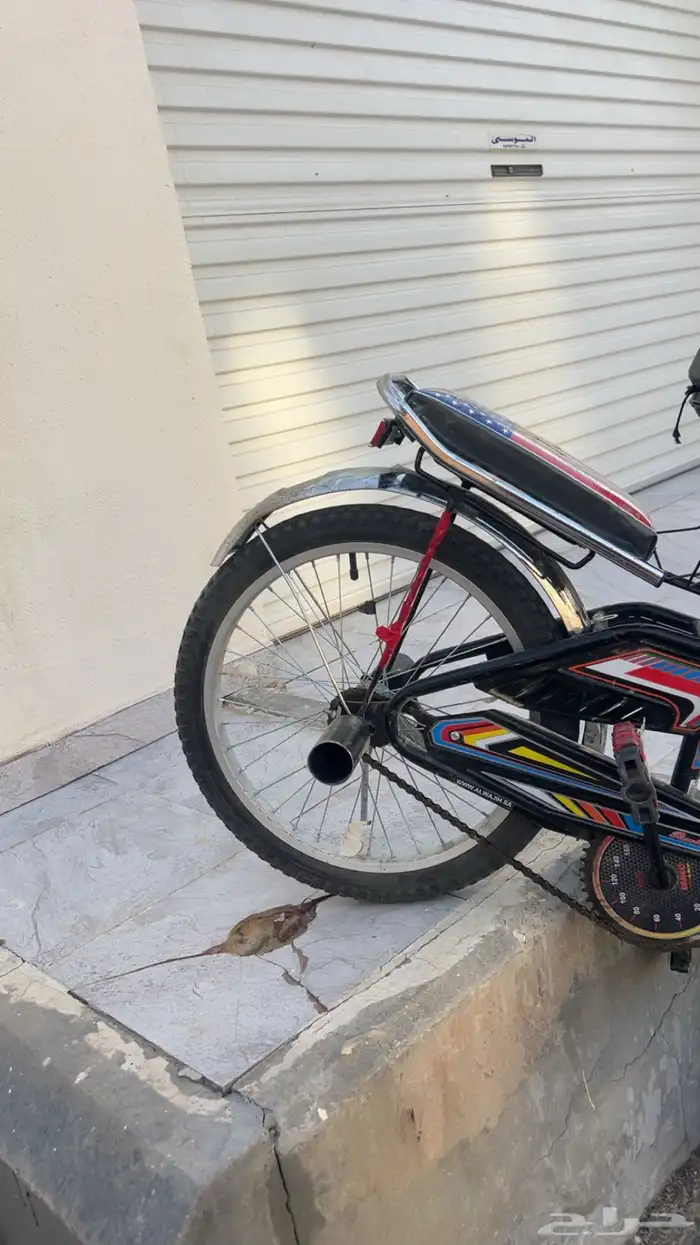 سيكل مقاس 25 مافيه اي خراب ايذا فيه خراب رجعه واخذ فلوسه 3