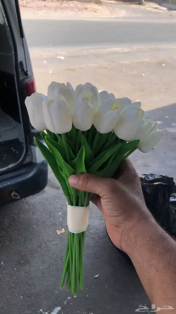 تنسيق وتاجير كوش ومداخل 7
