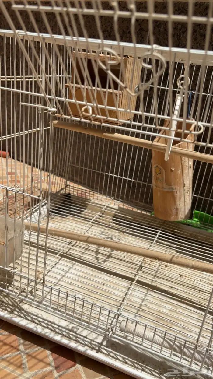 قفص طيور 3