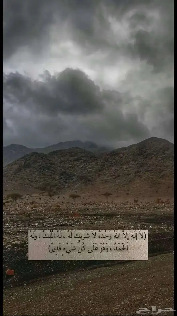 توصيل مشاوير داخل تبوك 0