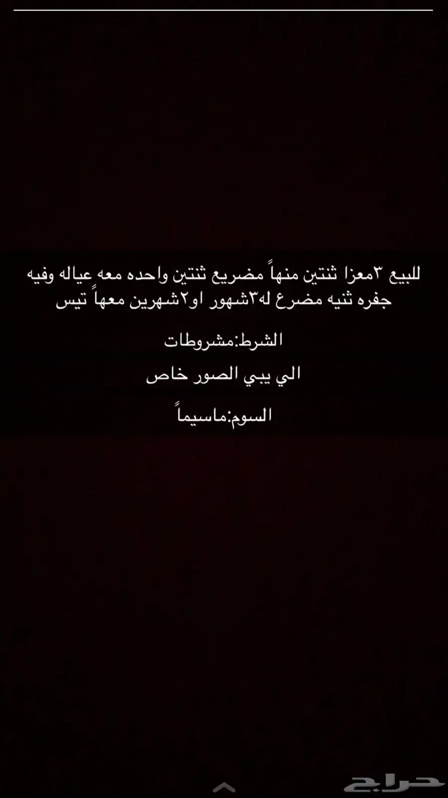 معزاء وتيسين 0