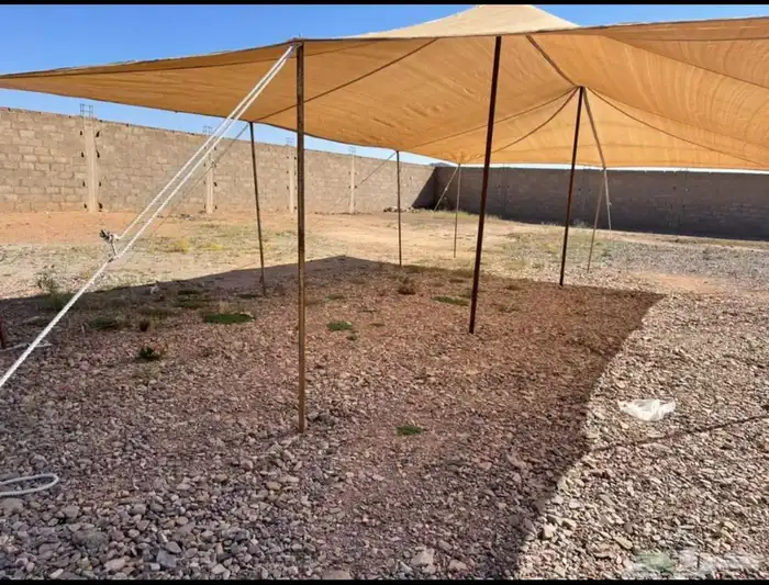 مضلات حلال مضلة غنم وأبل 2