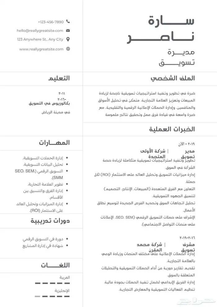 خدمات اكسيل   برمجة  جرافيك   تصميم   CV 17