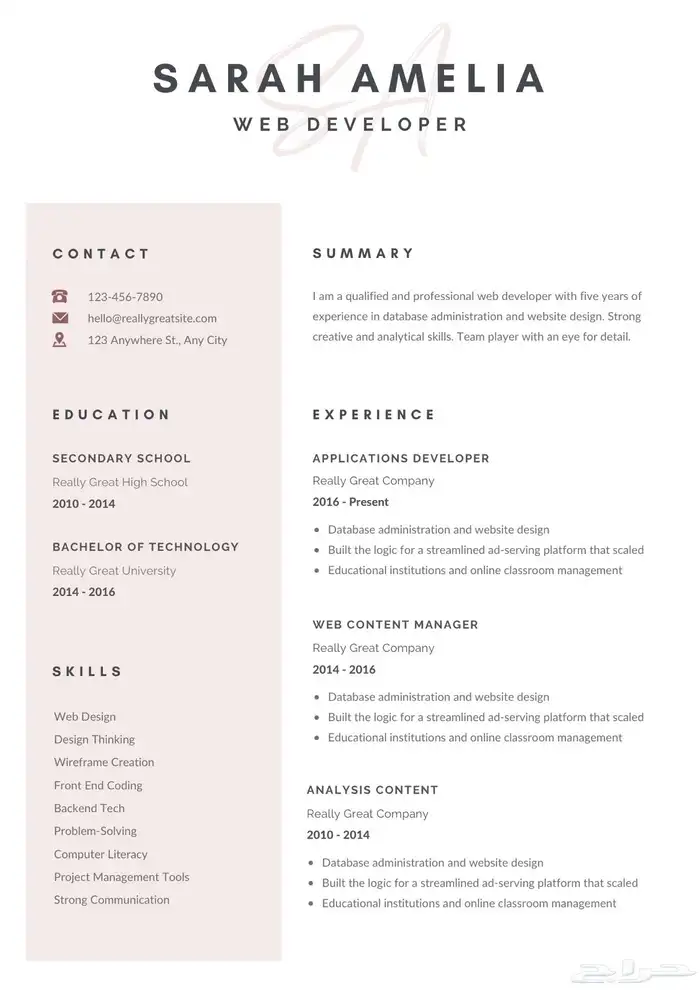خدمات اكسيل   برمجة  جرافيك   تصميم   CV 11