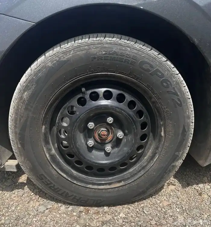 جنوط سوح 0