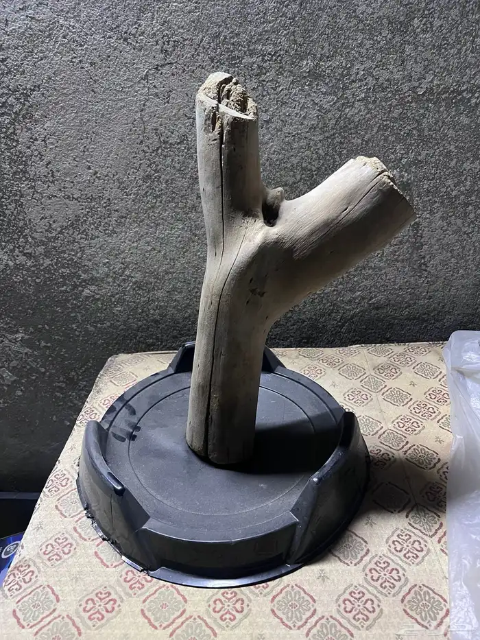 أقفاص انتاج صغيره إلى أقفاص انتاج كبيره600_601الى صغيره 7