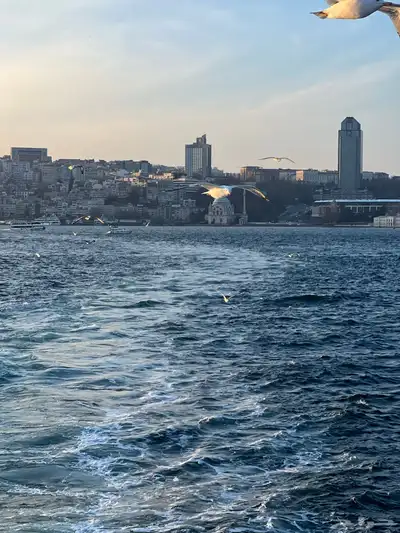 سافر و أستمتع بالطبيعة الخلابة 6