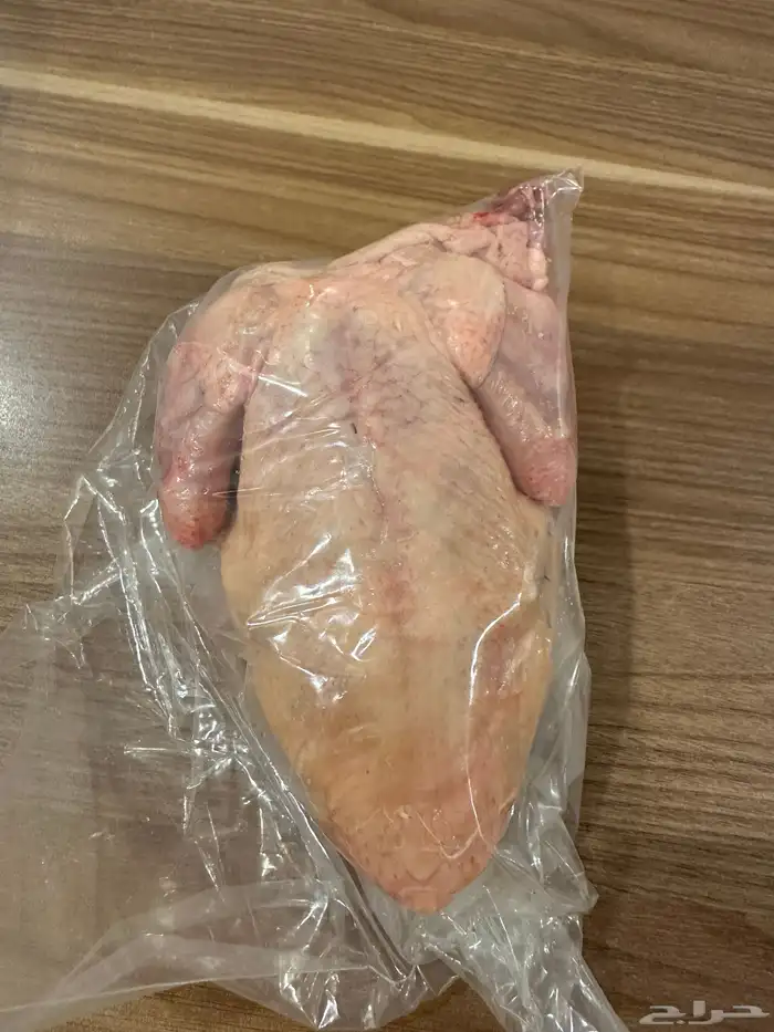حمام لاحم وزاجل للاكل 1
