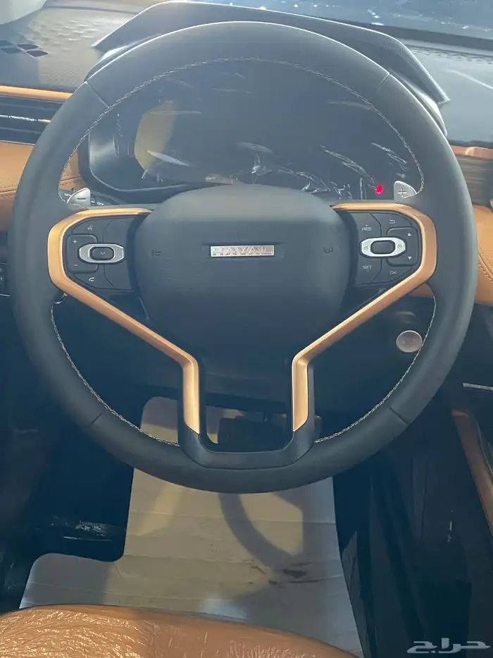 هافال جوليان أكتيف 2025 9