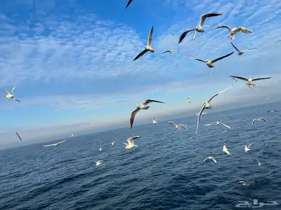 سافر و أستمتع بالطبيعة الخلابة 1