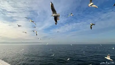 سافر و أستمتع بالطبيعة الخلابة 4