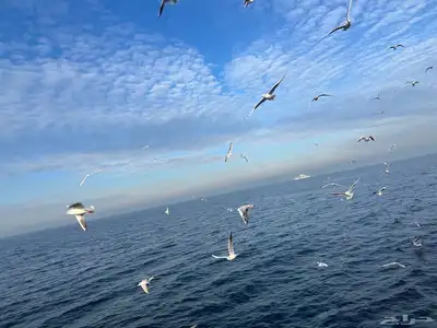 سافر و أستمتع بالطبيعة الخلابة 3