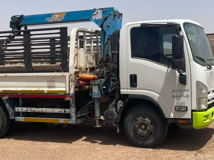 دينا ونش نقل ابل 0