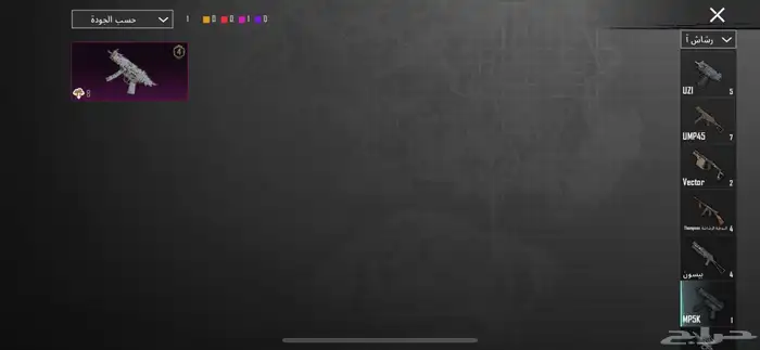 ببجي 49