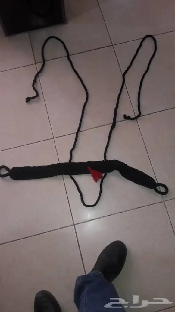 جنايب ومراير إبل جملة 9