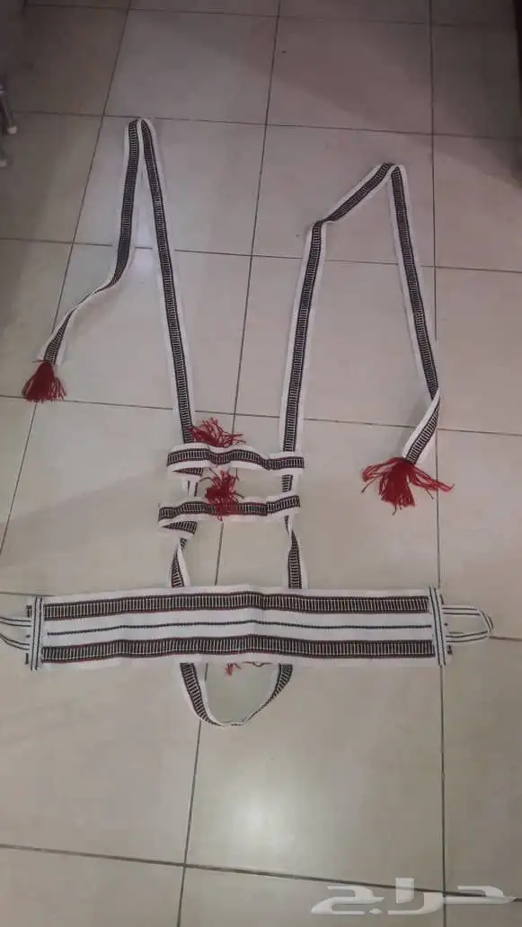 جنايب ومراير إبل جملة 3