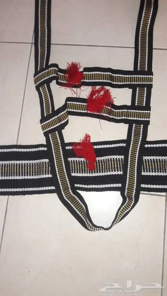 جنايب ومراير إبل جملة 1