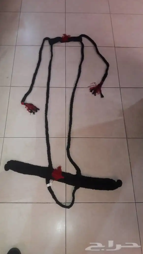 جنايب ومراير إبل جملة 5