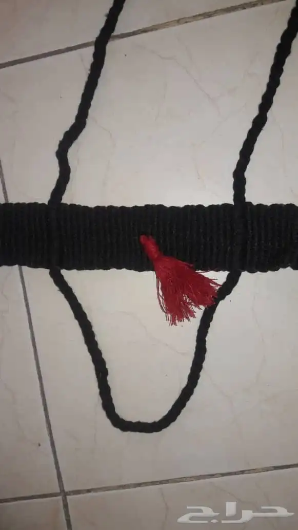 جنايب ومراير إبل جملة 11
