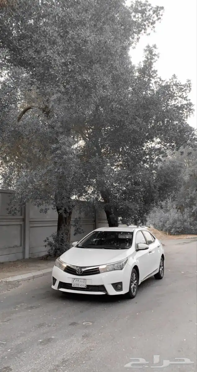 يارس 2022 1