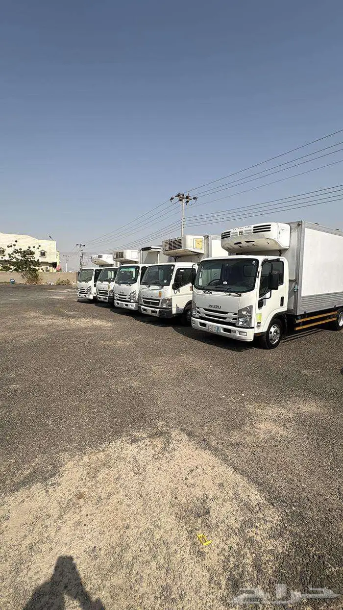 ايجار دينا 2