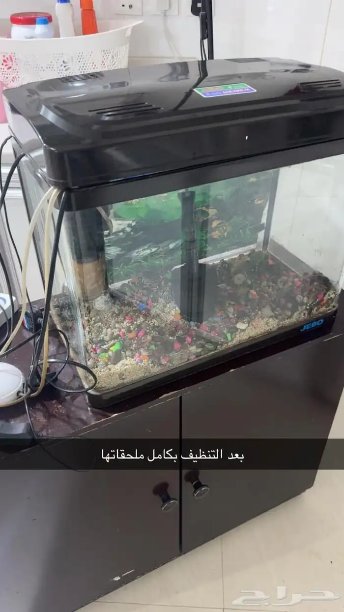 حوض سمك 3