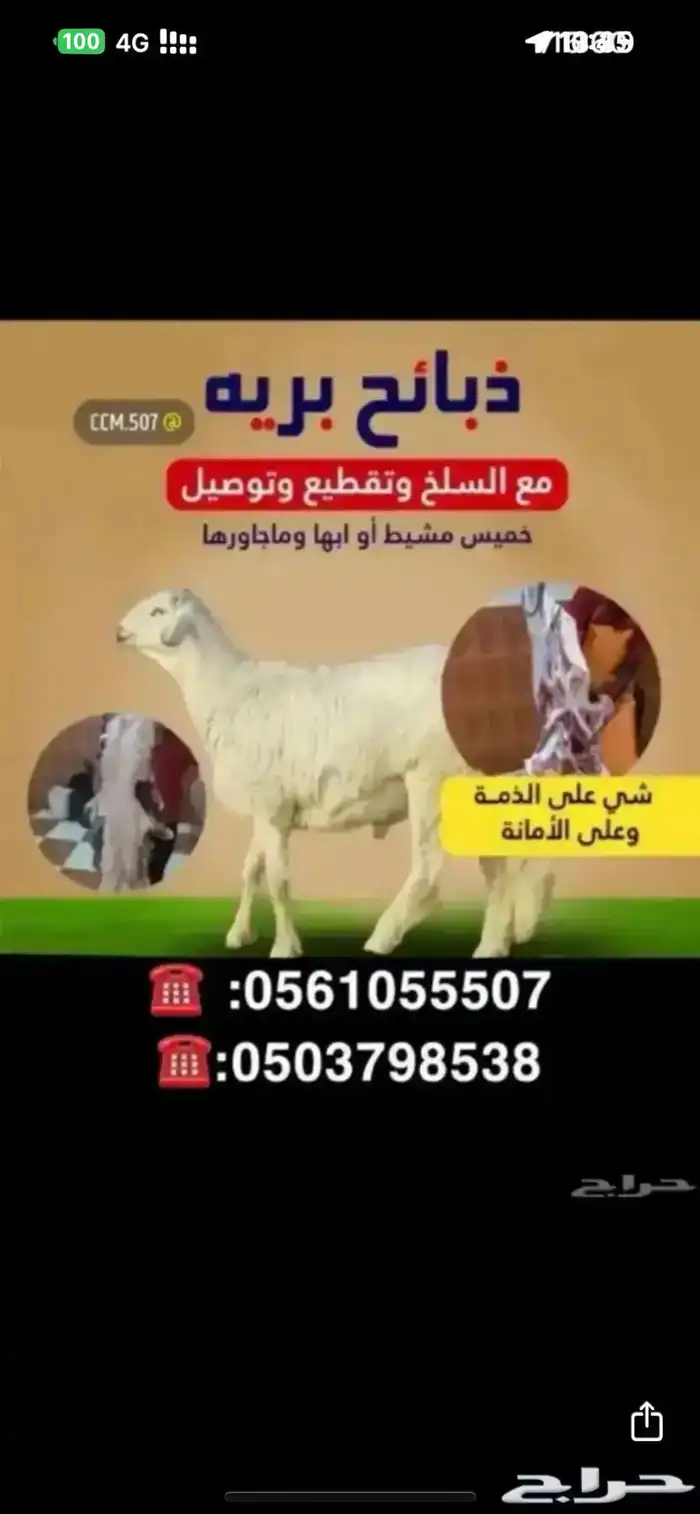 ذبائح ذبايح مع خدمه سلخ وتوصيل 0