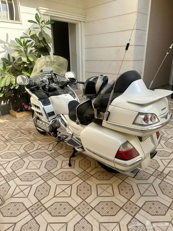 قولد وينق 2007 5