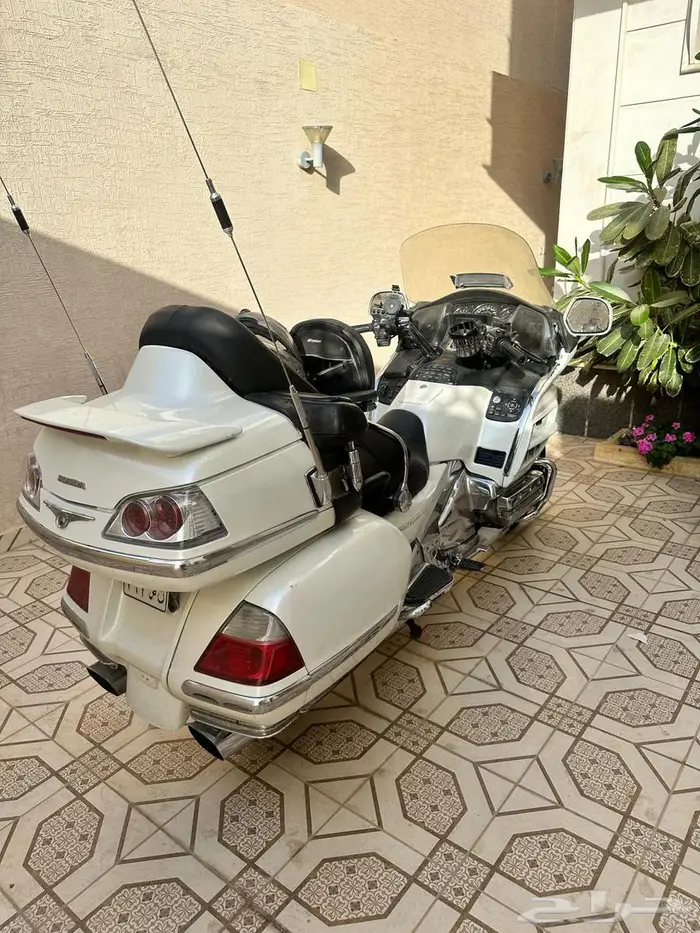 قولد وينق 2007 3