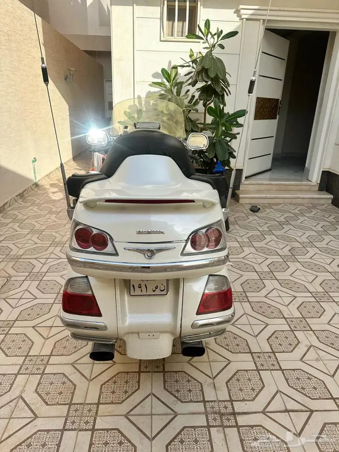 قولد وينق 2007 4