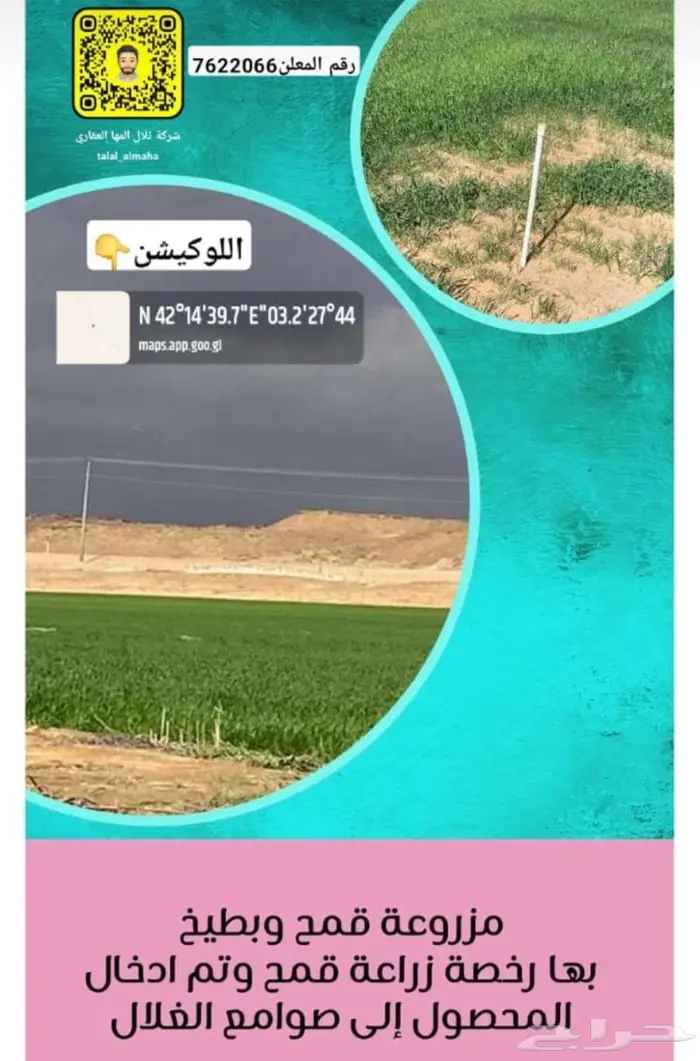 لاصحاب المشاريع الضخمه مزرعه ب حايل 700دونم قمح وبطيخ بهادخل 1
