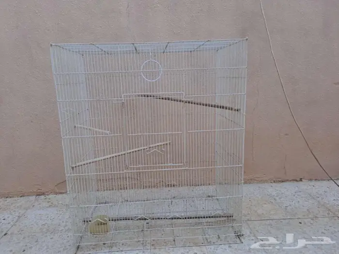 للبيع قفص ببغاوات كبير بريدة 3