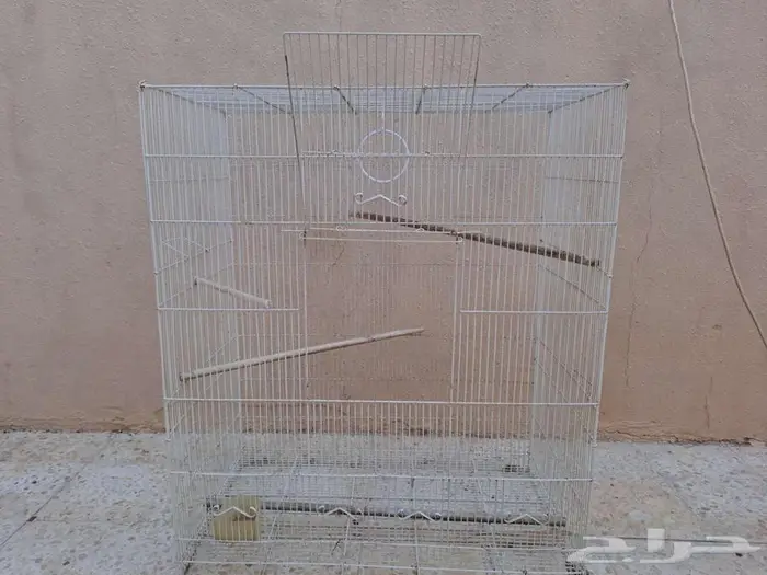 للبيع قفص ببغاوات كبير بريدة 2
