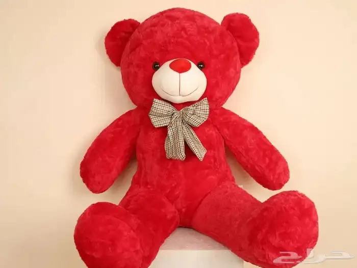 دب أحمر للبيع جديد ( مستعجل ) ب 500 ريال 0