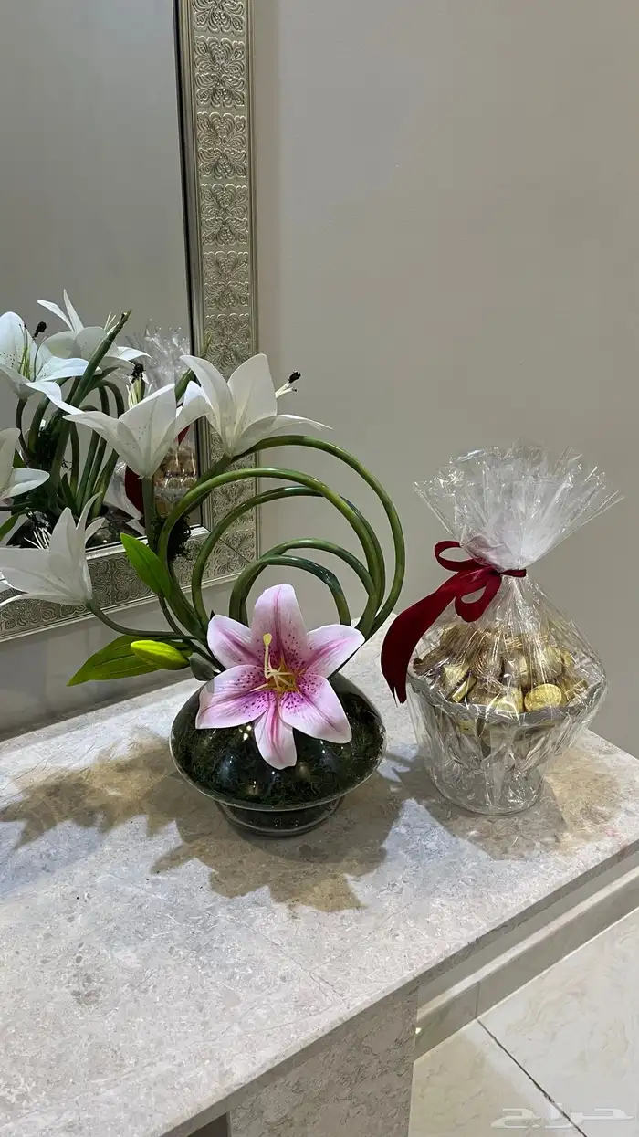 نباتات  هدايا 3