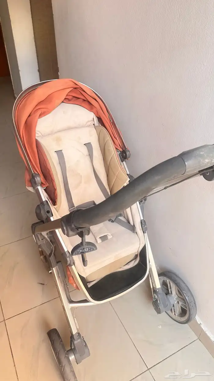 عربية أطفال من جيجلز 5