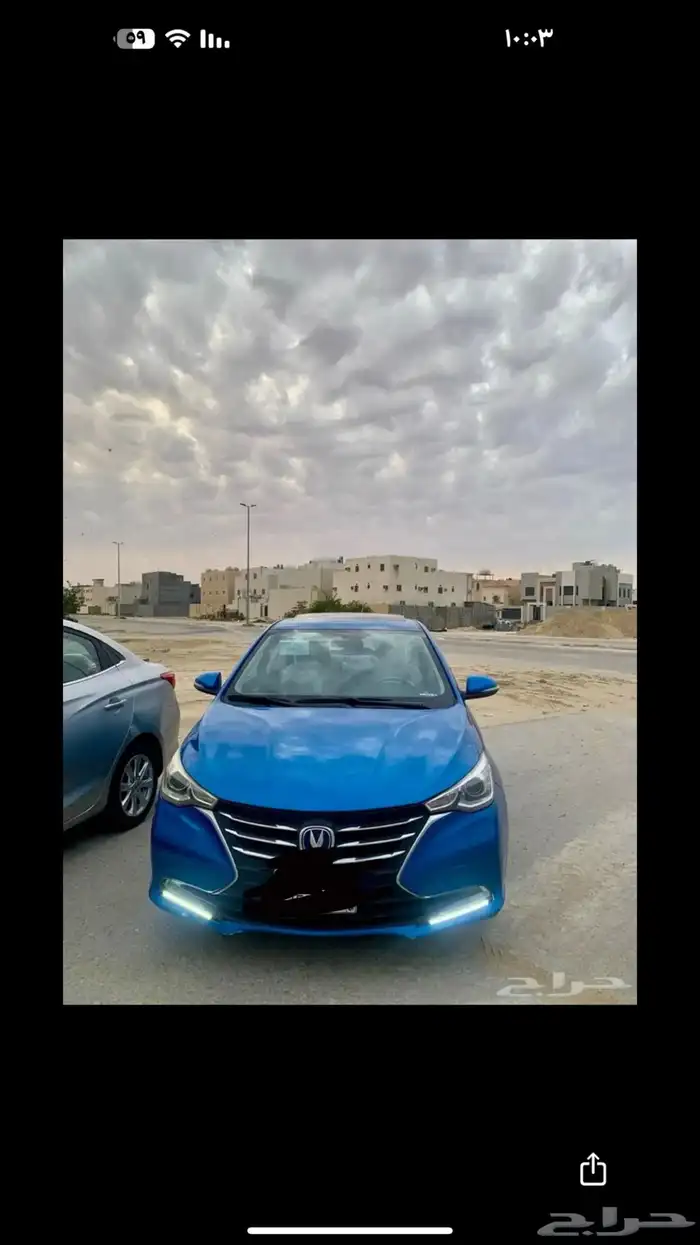 شانجان السفن مريل 2024 فل كامل 4