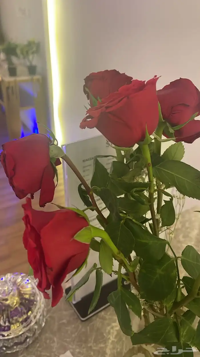 مركز مساج داخل فندق  يتوري بالاس 3