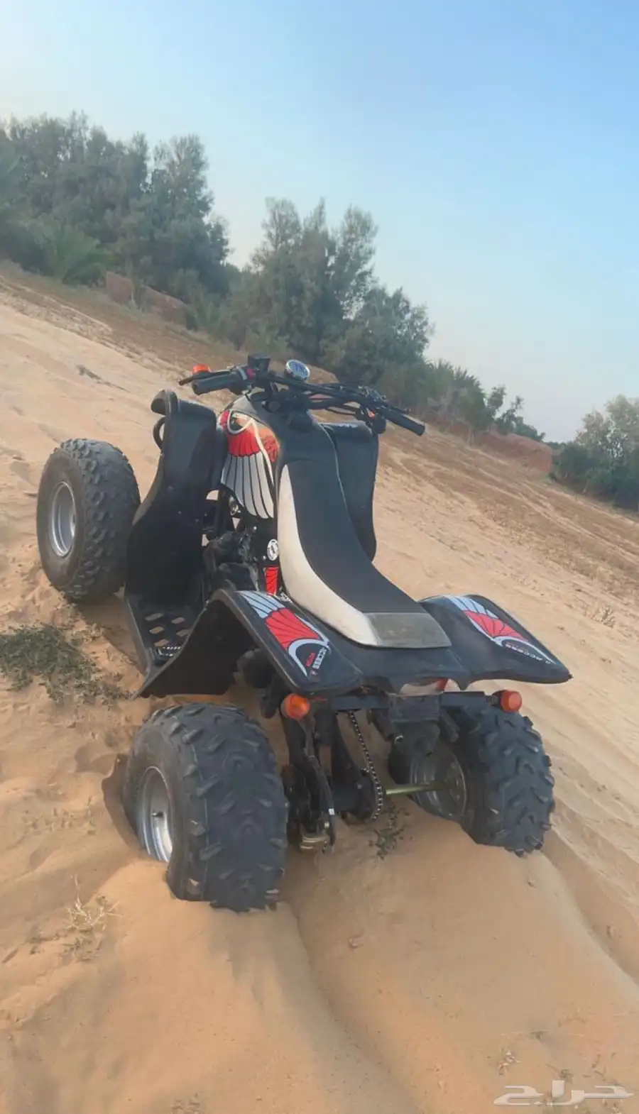 دباب سويدي 2022 1