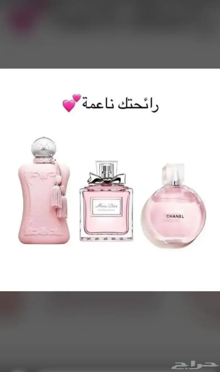 نوفر جمع العطور والساعات وكلشي تحتاجه من البلد بسعر الجمله 94