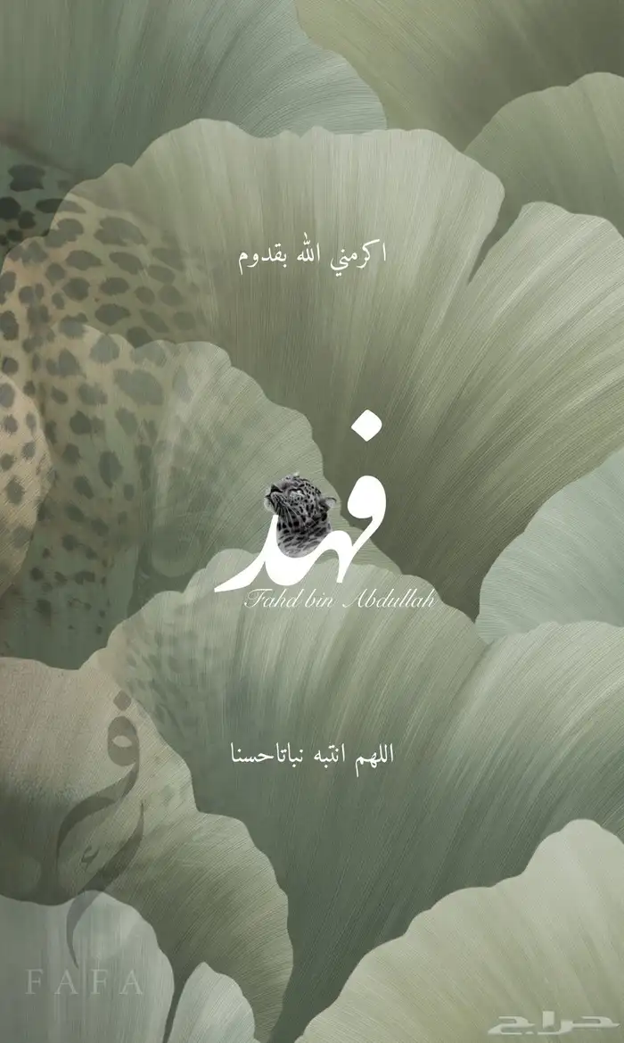 مصممه جرافيك 5