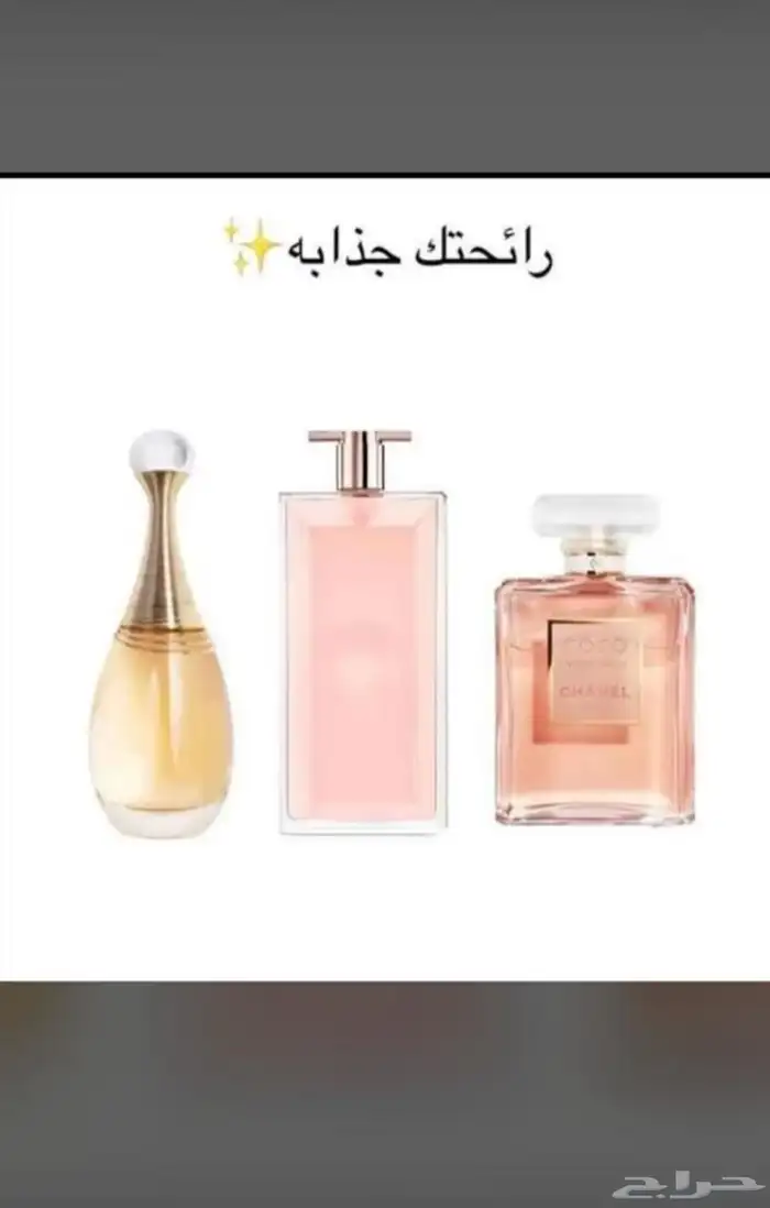 نوفر جمع العطور والساعات وكلشي تحتاجه من البلد بسعر الجمله 95