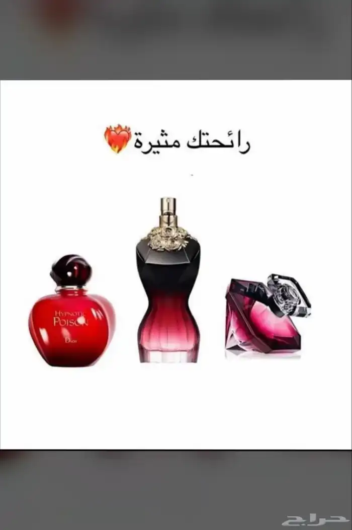 نوفر جمع العطور والساعات وكلشي تحتاجه من البلد بسعر الجمله 91