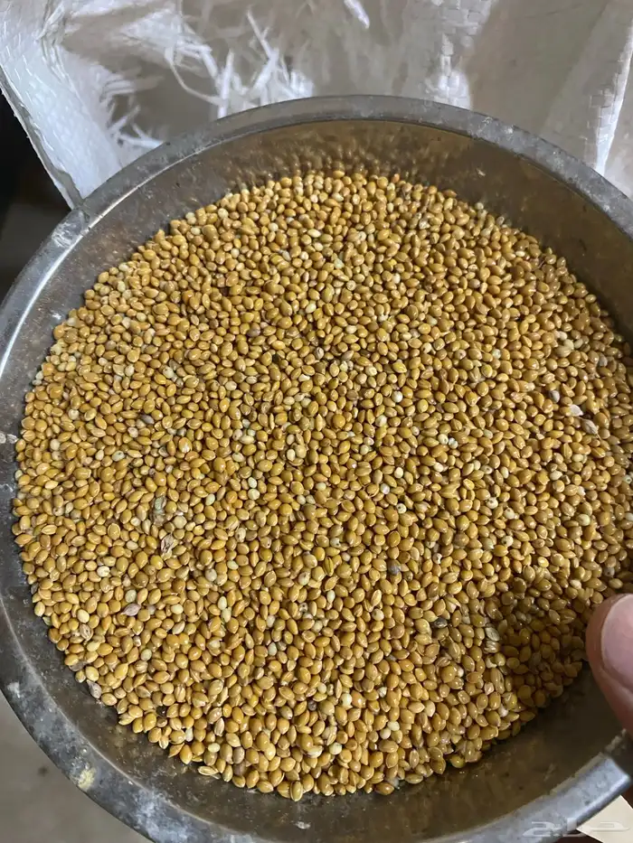 علاف دخن طيور 1